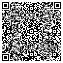 QR code with Dsi Recycling Systems contacts