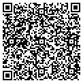 QR code with T Si contacts