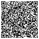QR code with Borcicky Daniel J contacts