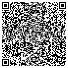 QR code with Pulaski-Assembly of God contacts