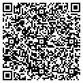 QR code with Vitek contacts