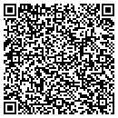QR code with Brinic Inc contacts