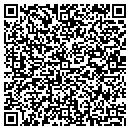 QR code with Cjs Sanitation Corp contacts