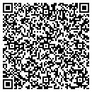 QR code with Problem Solver contacts