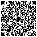 QR code with Bkg Labs LLC contacts
