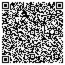 QR code with Pr Brooks Roofing Inc contacts