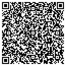 QR code with Premiere Machining contacts