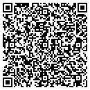 QR code with Custer Excavating Inc contacts
