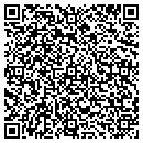 QR code with Professional Plowing contacts