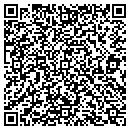 QR code with Premier Tool & Machine contacts
