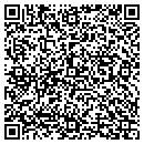 QR code with Camila C Mclean Aia contacts