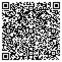 QR code with North Star Funding contacts