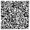 QR code with Kaley contacts