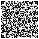 QR code with Provident Tool & Die contacts