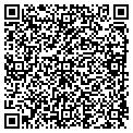 QR code with Bcdm contacts