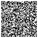 QR code with Practical Architecture contacts