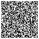 QR code with Cg3 Architecture Inc contacts