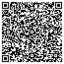 QR code with Public Works Safety contacts