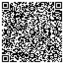 QR code with Public Works contacts