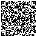 QR code with Avsg contacts