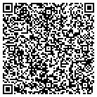 QR code with Public Health Institute contacts