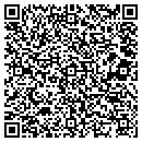 QR code with Cayuga Tool & Die Inc contacts