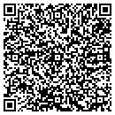 QR code with Chestatee Systems Inc contacts