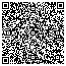 QR code with Public Works contacts
