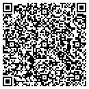 QR code with Public Works contacts