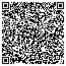 QR code with Pro Motion Maching contacts