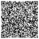 QR code with Blue Sky Cycle Carts contacts