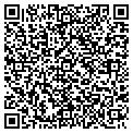 QR code with L Link contacts