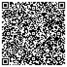 QR code with Pulaski Water Department contacts