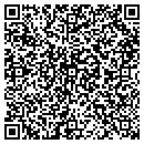 QR code with Professional Carpet Systems contacts
