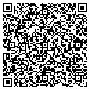 QR code with Pyatek Architect LLC contacts