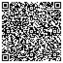 QR code with Precisioneering Inc contacts