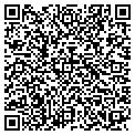QR code with Pulsar contacts