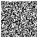 QR code with Punch Factory contacts