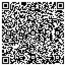 QR code with Costanza Architecture contacts