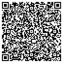 QR code with Cybul David N contacts
