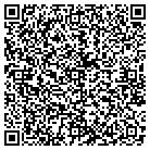 QR code with Pulaski Machine & Tool Inc contacts