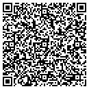 QR code with Premier Machine contacts