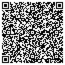 QR code with Proffesional Slashbusting Services contacts