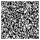 QR code with Clark Patterson Lee contacts