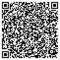 QR code with Ldg Inc contacts