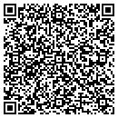 QR code with Cynthia J Cline Aia contacts