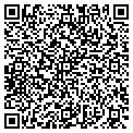 QR code with D G Systems Co contacts