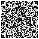 QR code with Pro Tool Mfg contacts