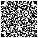 QR code with Premier Golf Cars contacts