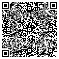 QR code with Visualize This contacts